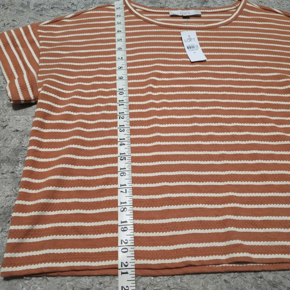 LOFT Nwt Boxy Oversized Cropped Peachy Brown & White Dot Striped Crewneck Tee, M - Picture 8 of 11